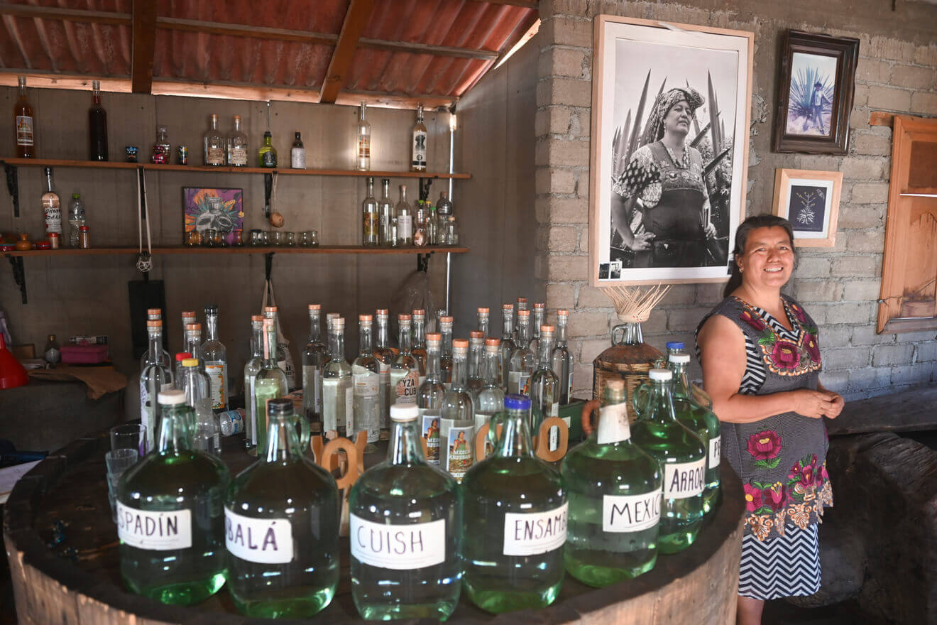Degustación de Mezcal imagen 10