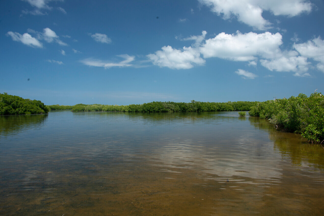 Tour a Río Lagartos desde Valladolid imagen 11