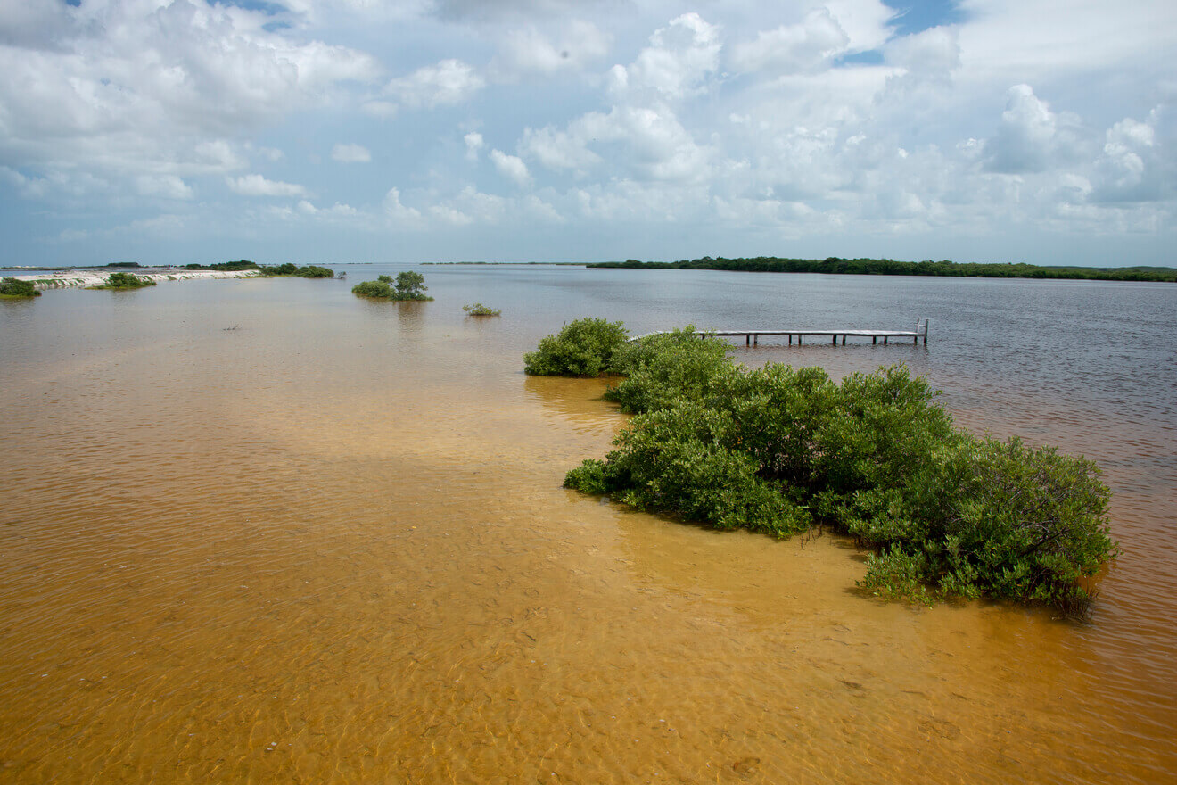 Tour a Río Lagartos desde Valladolid